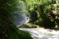 Kaiate Falls, Papamoa, New Zealand Ã¢â¬â 25 Dec 2018: the falls are heavily overflown after rains over previous days.